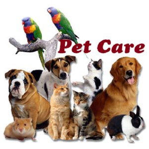 Pet Care